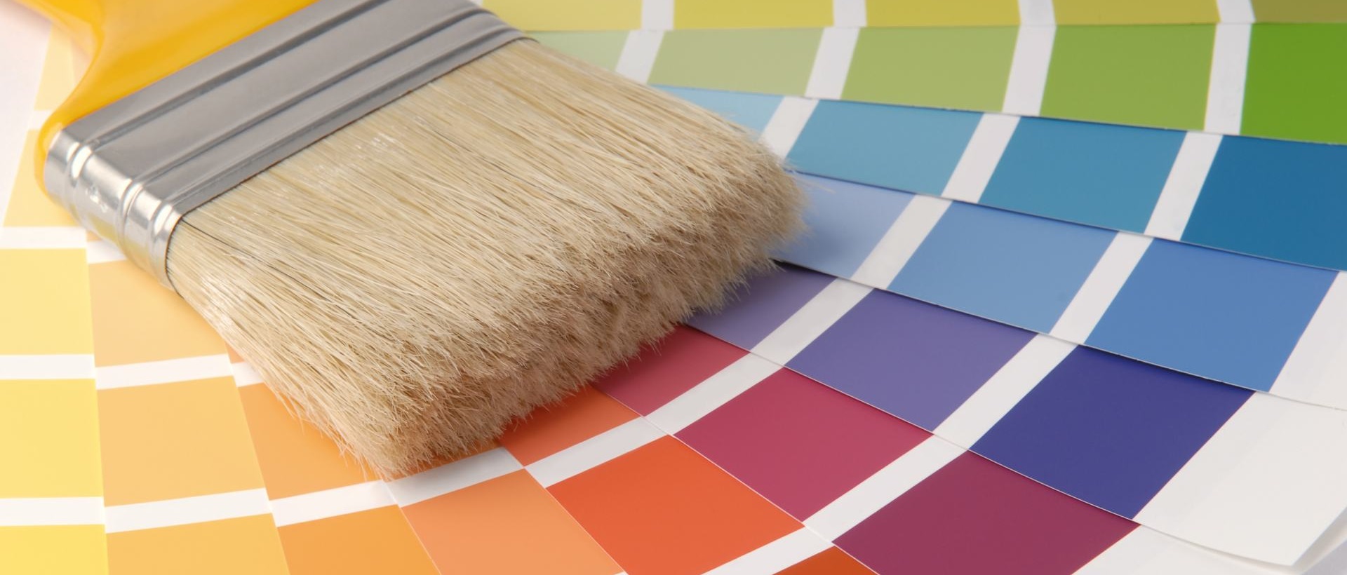 Painter W1